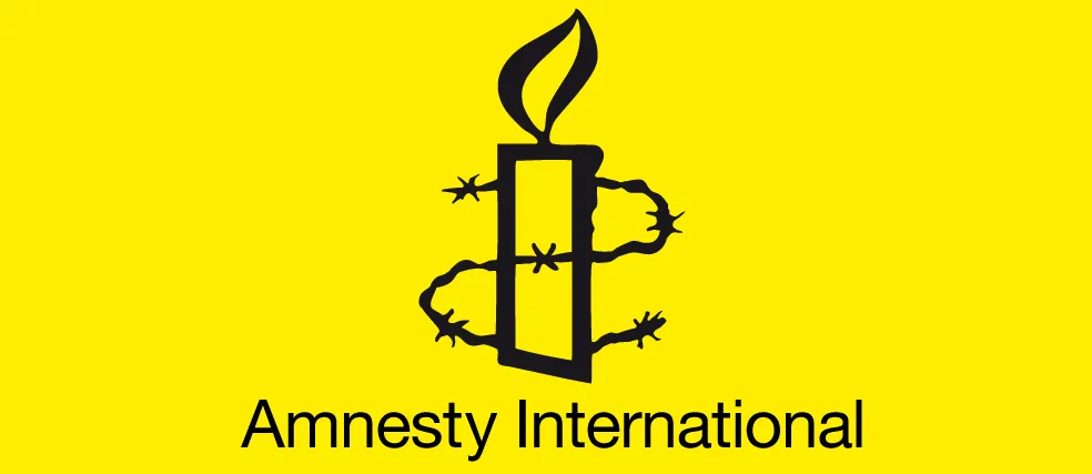 Amnesty International urges Georgia not to deport Denis Kulanin to Russia 2 News