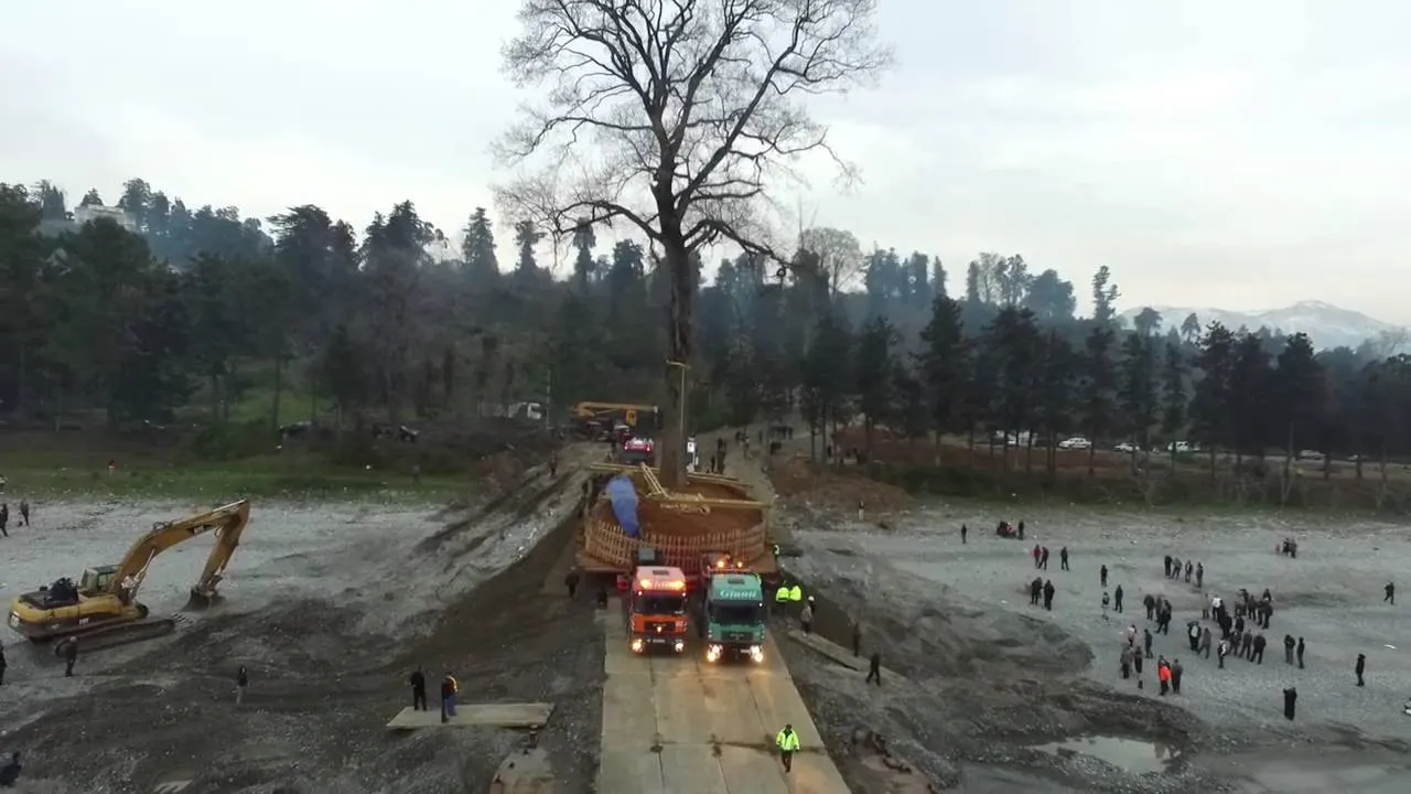 Дендрарий Иванишвили на повестке дня Минэкологии Грузии 6 maxresdefault 3 дендрарий дендрарий