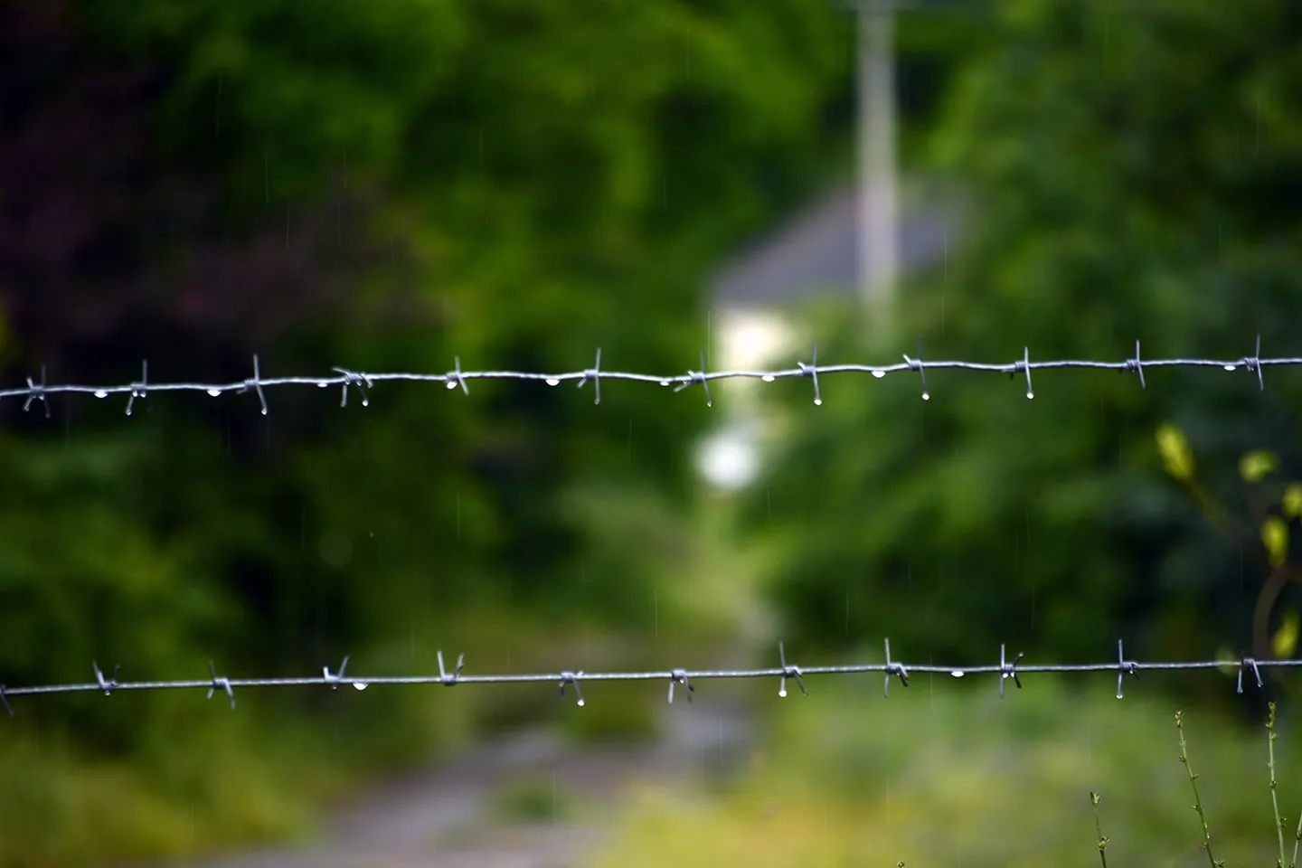 Border оккупационная линия оккупационная линия