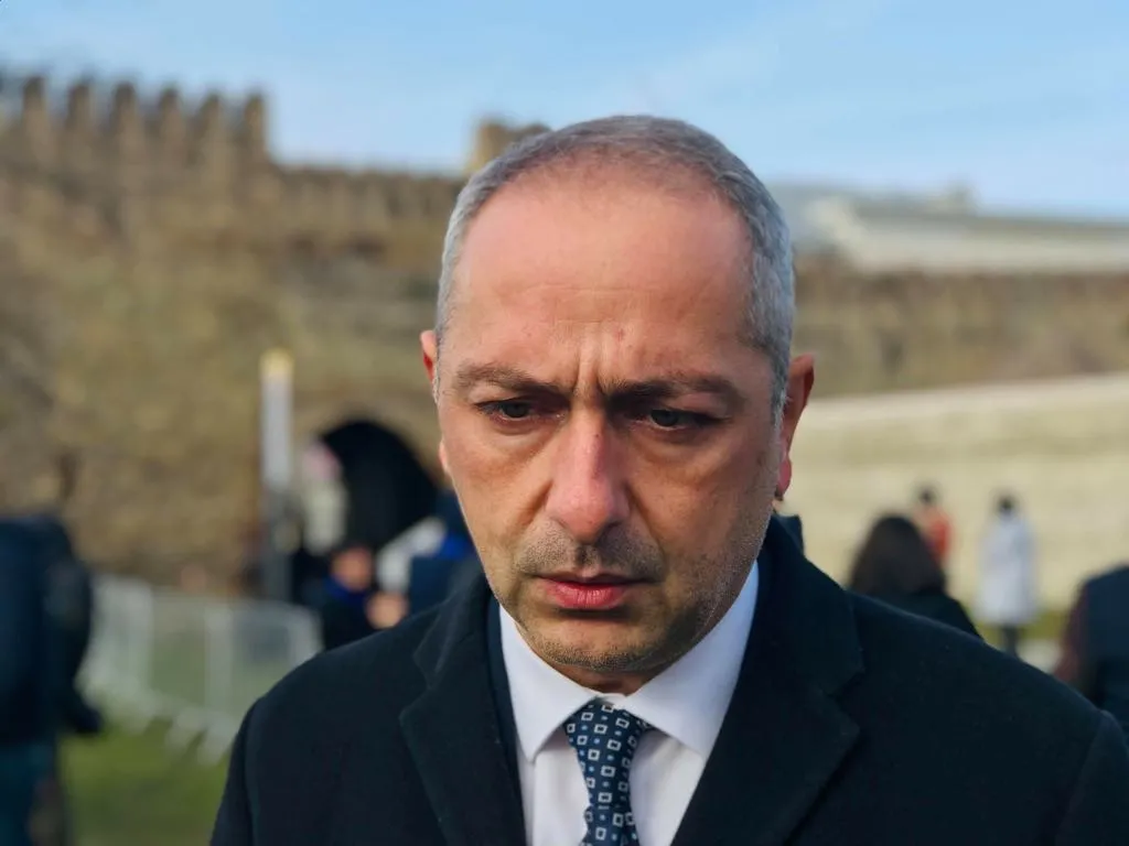 Сесиашвили о речи Зурабишвили: можно было сказать больше 6 Irakly Sesiashvili 11 Генассамблея ООН Генассамблея ООН