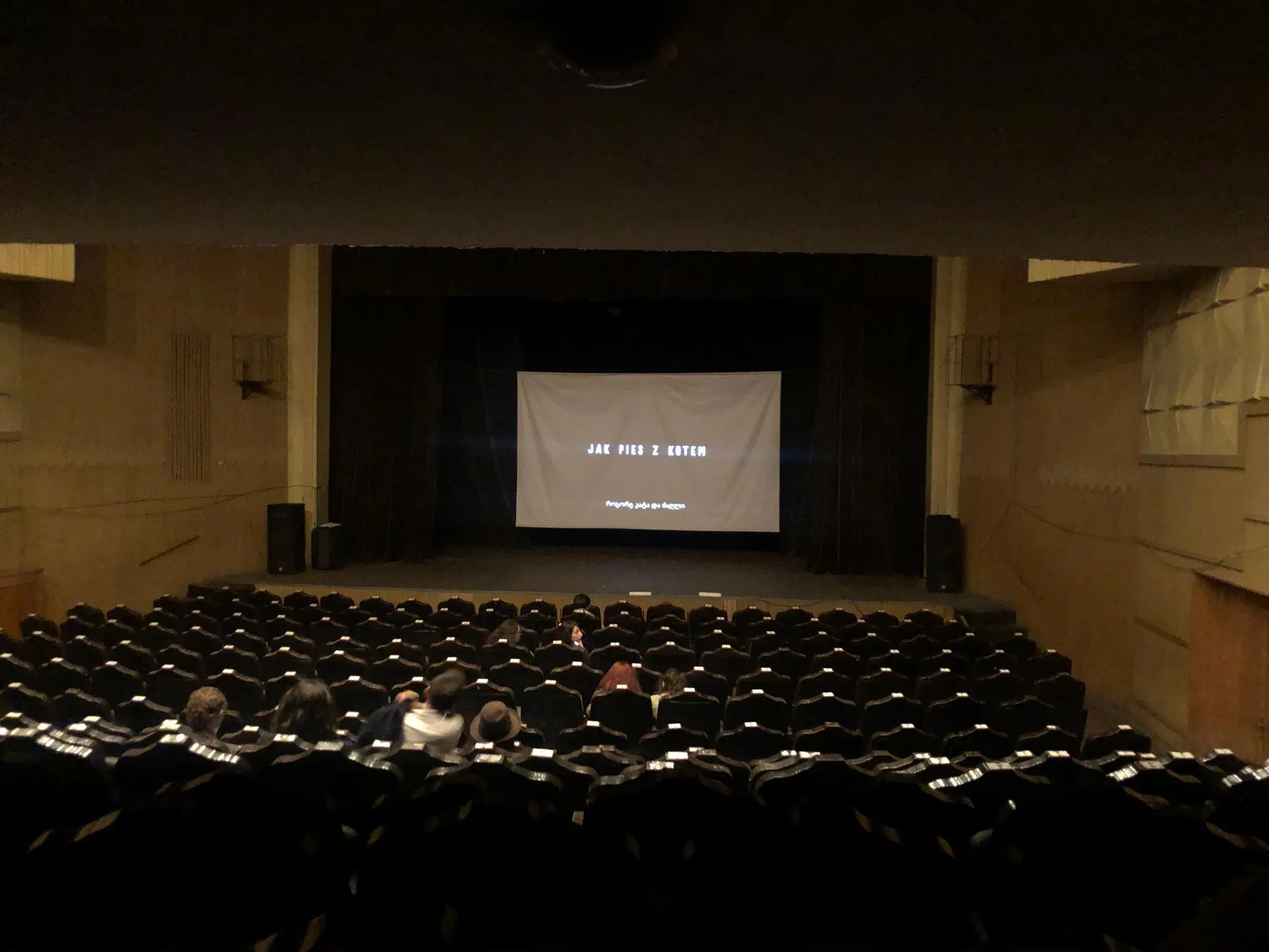 Кинофестиваль «Висла» в Грузии: при чем тут Кремль? 7 74979145 433091874065181 2662802573022461952 n общество общество