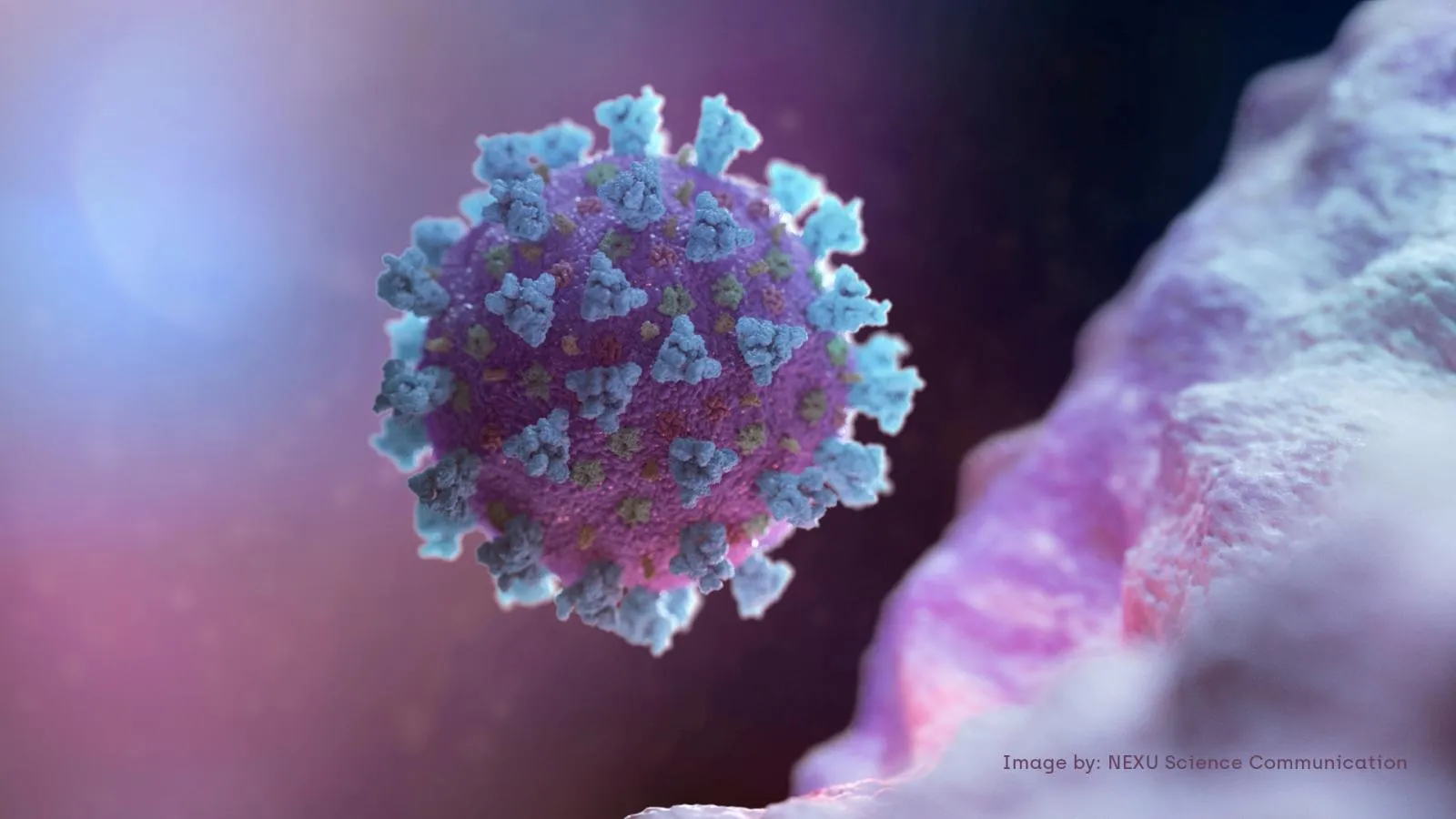 Коронавирус в Грузии: +22 инфицированных 1 Coronavirus 2 новости коронавирус, коронавирус в Грузии
