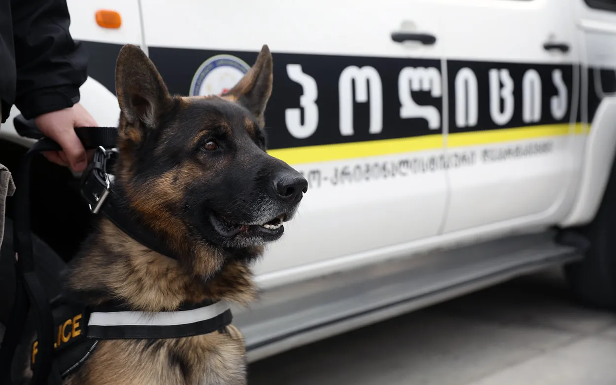 Police 16 News