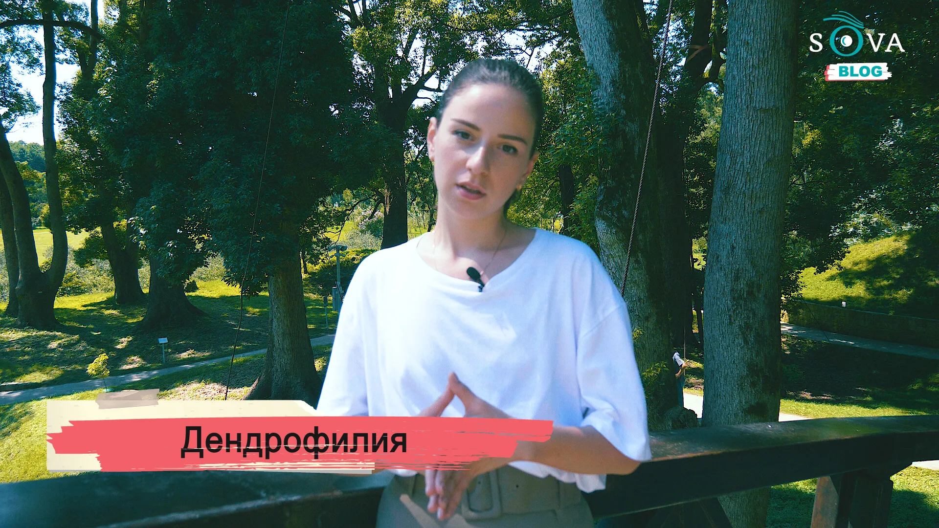 SOVA-блог: дендрофилия Иванишвили 3 Konji Blog Dendrofilia HD Cover0 дендрарий дендрарий