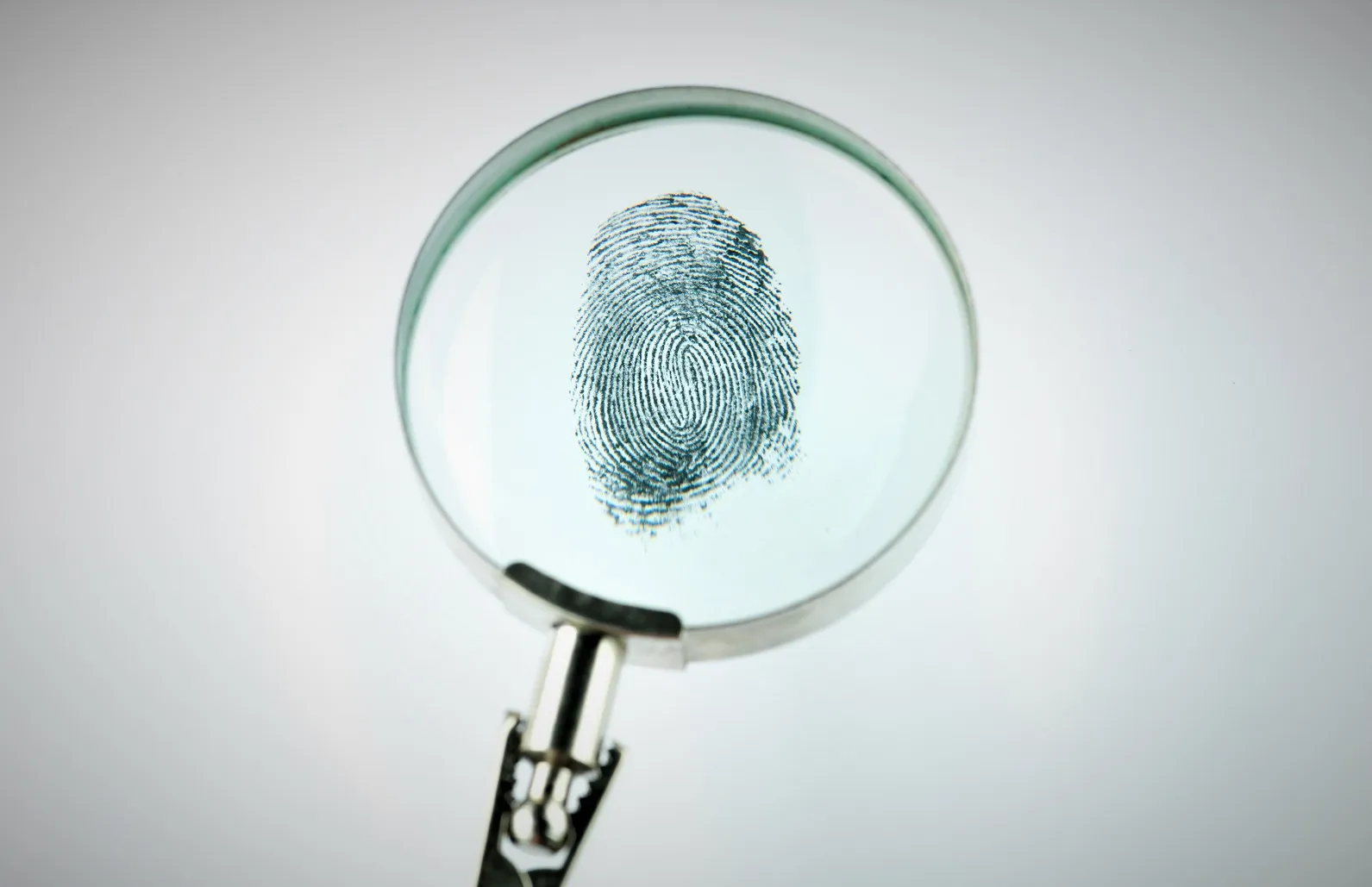Грузия-2020: самые резонансные дела года 9 fingerprint through magnifying glass PFTHN66 Георгий Руруа Георгий Руруа