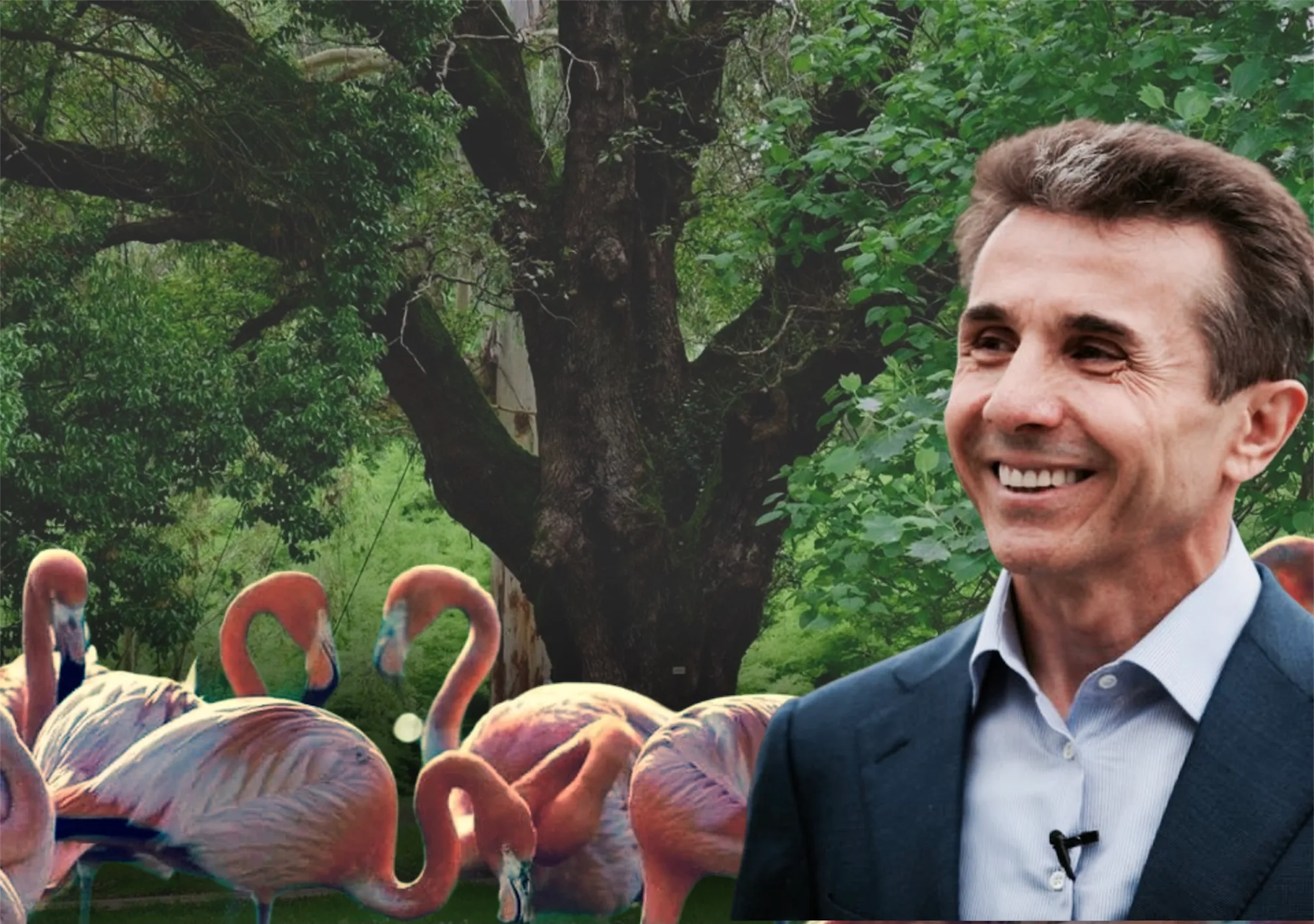 Причуды самого богатого грузина 2 357EAB58 2BB4 4BAC A954 C88E50F786C9 дендрарий дендрарий