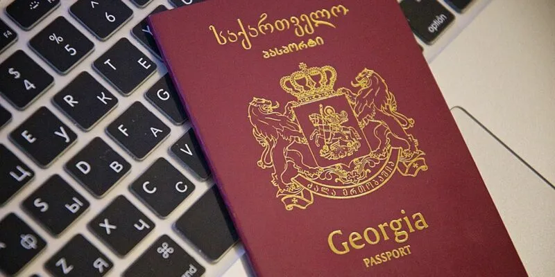pasport gruzia новости гражданство Грузии, Грузстат, Национальная служба статистики Грузии