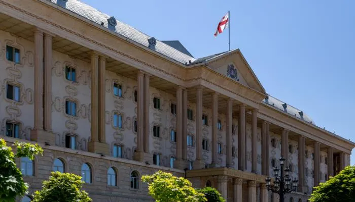 gorodskoi sud tbilisi новости Георгий Бачиашвили, Георгий Кемоклидзе, задержание, мера пресечения