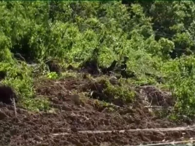 opolzen e1688293455919 новости Курсеби, оползень, ткибули, эвакуация