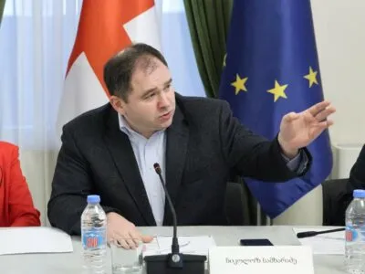 Депутат "Мечты": факты в докладе "Московского механизма" неточны 3 samxaradze новости московский механизм, Николоз Самхарадзе