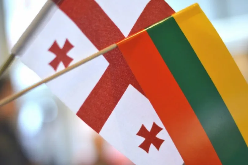 Lithuanian MFA: EU ready to work with Syria to revoke Assad regime’s decisions on Georgia