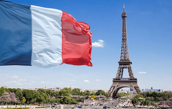 francia flag 1 новости Георгий Удзилаури, разведка, Франция-Грузия