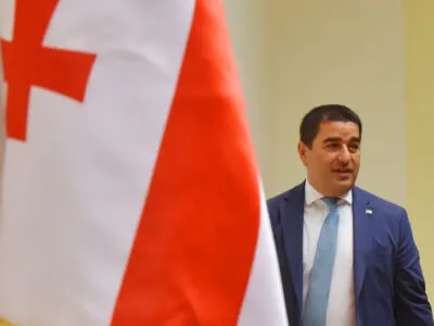 papuashvili flag новости Грузия-Германия, Петер Фишер, посол Германии, Спикер парламента, Шалва Папуашвили
