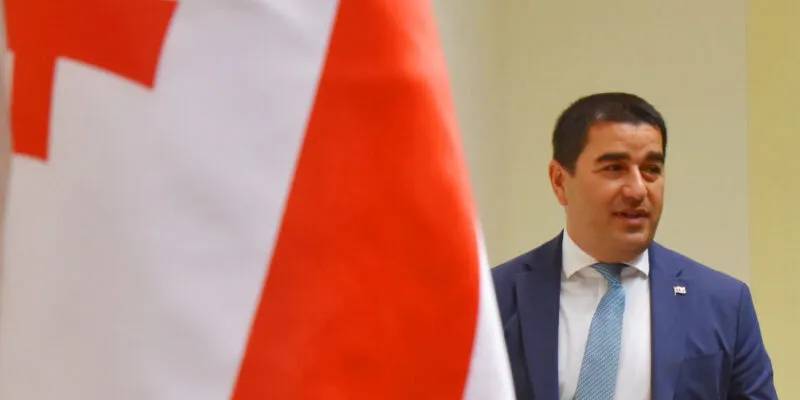 papuashvili flag новости Грузия-ЕС, Спикер парламента, Шалва Папуашвили