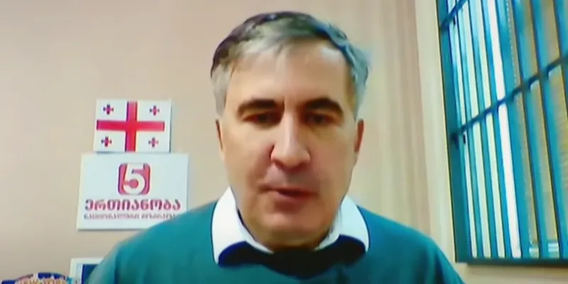 saakashvili новости Михаил Саакашвили, Нанука Жоржолиани, Национальное движение, председатель, Тина Хидашели