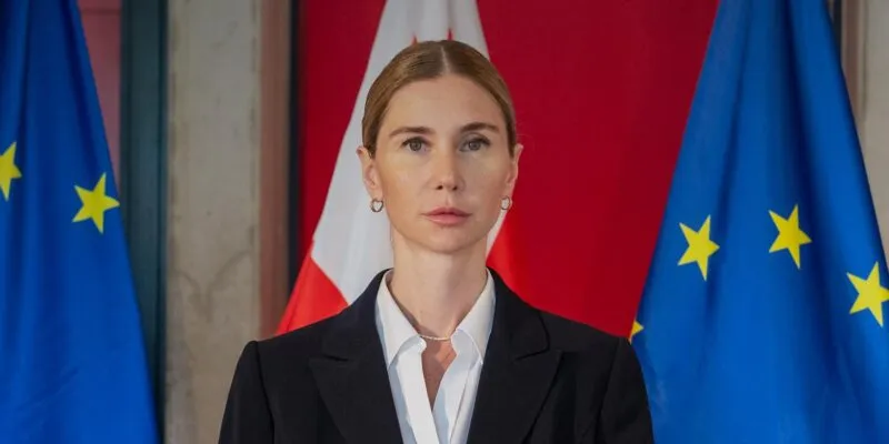 bokuchava новости Бидзина Иванишвили, Единое Национальное Движение, Тина Бокучава