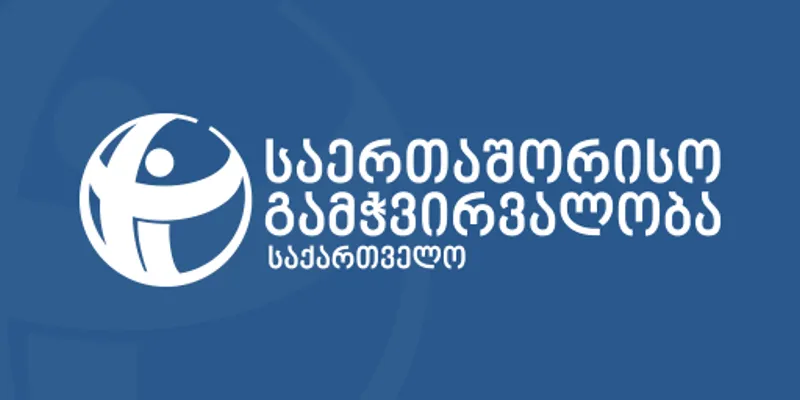 ti transparency новости Transparency International Georgia, Европейский Суд по правам человека, жалоба, закон об иноагентах, иск