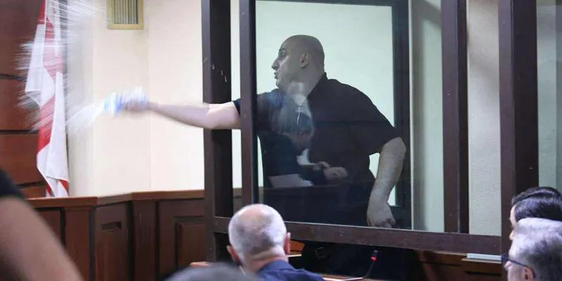 melia новости Ника Мелия, приговор, тбилисский городской суд