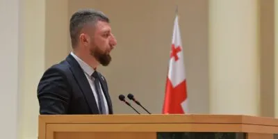 gorduladze политика "О семейных ценностях и защите несовершеннолетних", боец ММА, Георгий Картвелишвили, Грузинская мечта