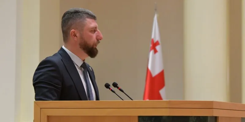 gorduladze новости "О семейных ценностях и защите несовершеннолетних", боец ММА, Георгий Картвелишвили, Грузинская мечта