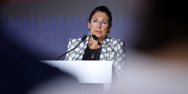 zurabishvili salome новости Бидзина Иванишвили, Национальная ассамблея Франции, Саломе Зурабишвили