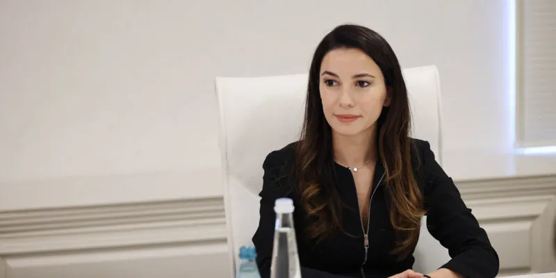 mariam kvrivishvili новости долг, Мариам Квривишвили, министерство экономики, штрафы, электроэнергия