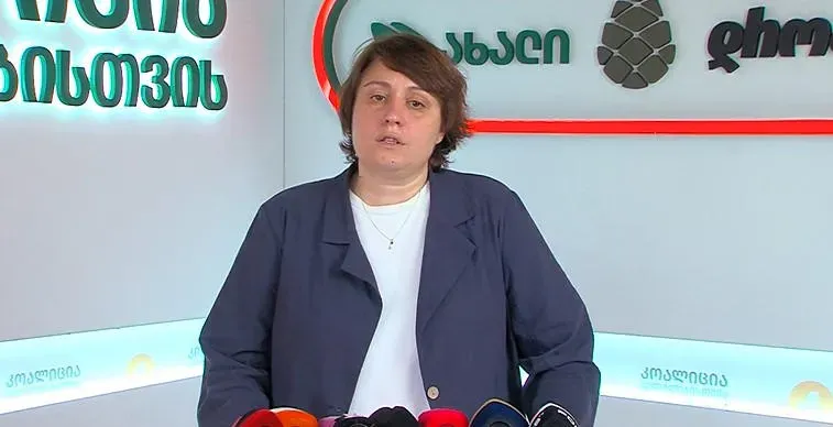 новости "Дроа!", альянс оппозиции Грузии, Элене Хоштария