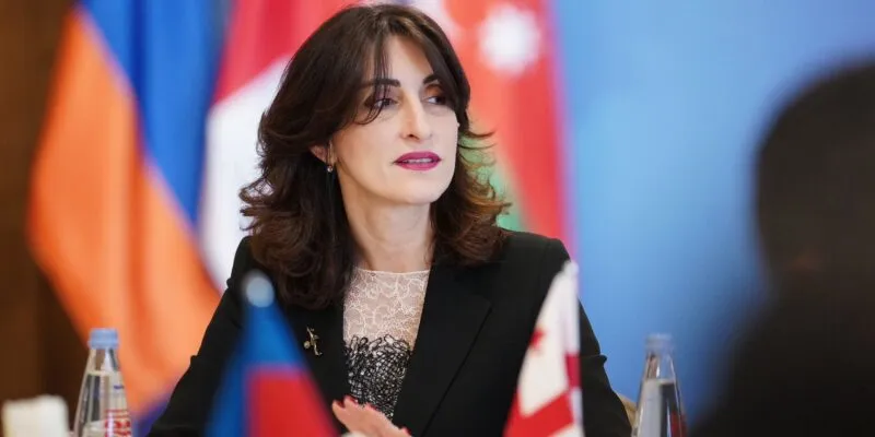 Глава МИД: на полях Генассамблеи ООН обсудят важные для Грузии и региона вопросы 1 bochorishvili maka bocho новости