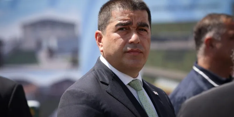papuashvili shalva новости Алеко Элисашвили, Спикер парламента, Шалва Папуашвили