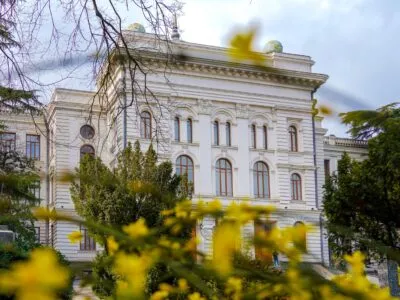 tsu политика политика