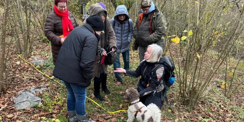 74827310 403.jpg Deutsche Welle Трюфель