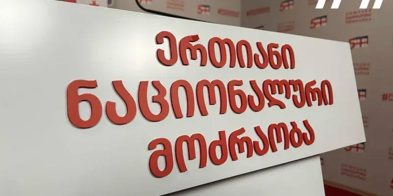 nacionaluri modzraoba dvijenie nacionalnoe новости акция протеста в тбилиси, Единое Национальное Движение, Михаил Саакашвили