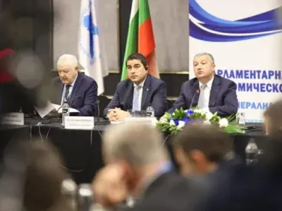 papuashvili2 новости BSEC, PABSEC, безопасность, война в Украине, Грузия-Украина, мирный план по Украине, Спикер парламента, Шалва Папуашвили