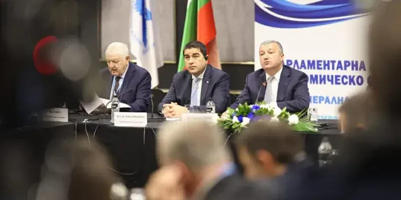 papuashvili2 новости BSEC, PABSEC, безопасность, война в Украине, Грузия-Украина, мирный план по Украине, Спикер парламента, Шалва Папуашвили