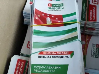 Проправительственные кандидаты побеждают на местных выборах в Абхазии при низкой явке избирателей 6 screenshot 2025 11 11 153742 новости OC Media, выборы в Абхазии