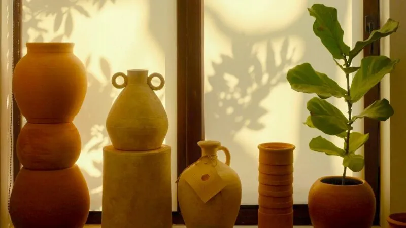 12 1 Fact or Fake featured, Terracotta