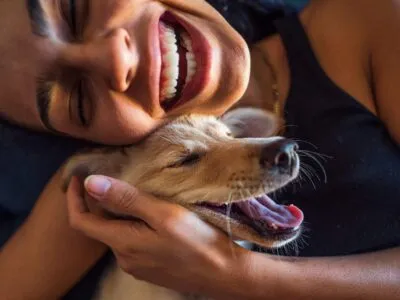 Почему мы так любим собак? Вот что говорит наука 2 3463e1c0 d044 11f0 9fb5 5f3a3703a365.jpg Новости BBC собаки