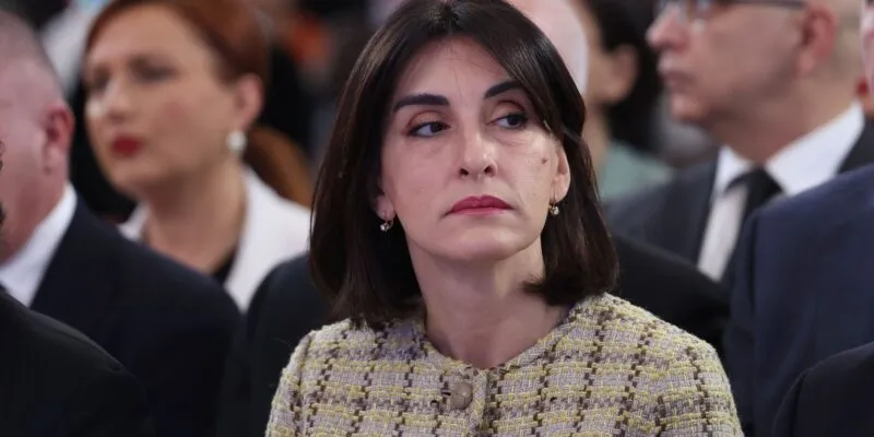 bochorishvili maka v новости Глава МИД Грузии, Грузия-Евросоюз, Грузия-ЕС, Мака Бочоришвили, парламент Грузии