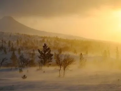 fc8e29b0 e405 11f0 b1f0 1f23e4e3eea7.jpg Новости BBC Швеция