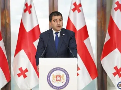 papuashvili 8 новости акция протеста в тбилиси, ВВС, гибридная война, Грузинская мечта, камит, Спикер парламента, химическое оружие, химоружие, Шалва Папуашвили