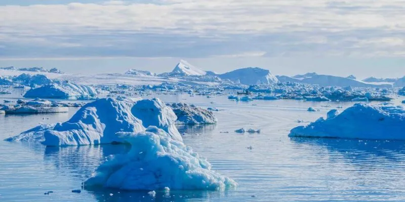 73470293 403.jpg Deutsche Welle жара