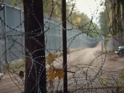 75445982 403.jpg Deutsche Welle Беловежская пуща