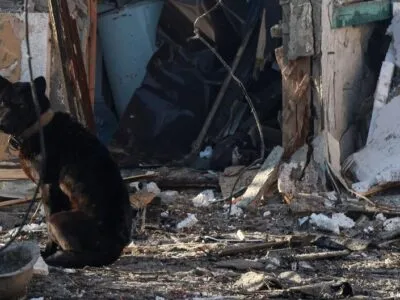 75591090 403.jpg Deutsche Welle "Искандеры"