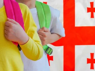 ucheniki новости Грузинская мечта, Минобразования Грузии, Национальная концепция реформы образования, реформа образования