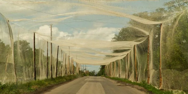 73061666 403.jpg Deutsche Welle годовщина войны в Украине