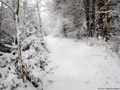 75802716 403.jpg Deutsche Welle морозы в Беларуси