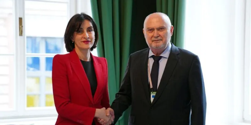 feriidun e1771157550350 новости Глава МИД Грузии, Грузия-ОБСЕ, Мака Бочоришвили, Феридун Синирлиоглу