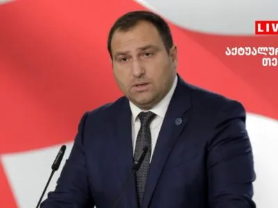 kircxalia новости Грузинская мечта, Грузия-Швеция, ираклий кирцхалия, лидер "Мечты", московский механизм, НПО Грузии, парламентский лидер "Мечты", права человека