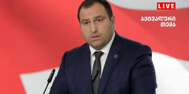 kircxalia новости Грузинская мечта, Грузия-Швеция, ираклий кирцхалия, лидер "Мечты", московский механизм, НПО Грузии, парламентский лидер "Мечты", права человека