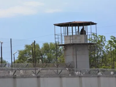 turma новости Леван Иоселиани, лидеры оппозиции, Михаил Саакашвили, Омбудсмен Грузии